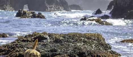 Una playa cerca