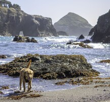 Beach nearby