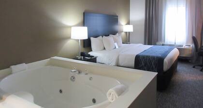 Comfort Inn Port Huron