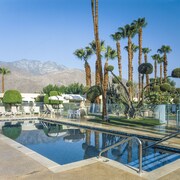 Desert Isle of Palm Springs