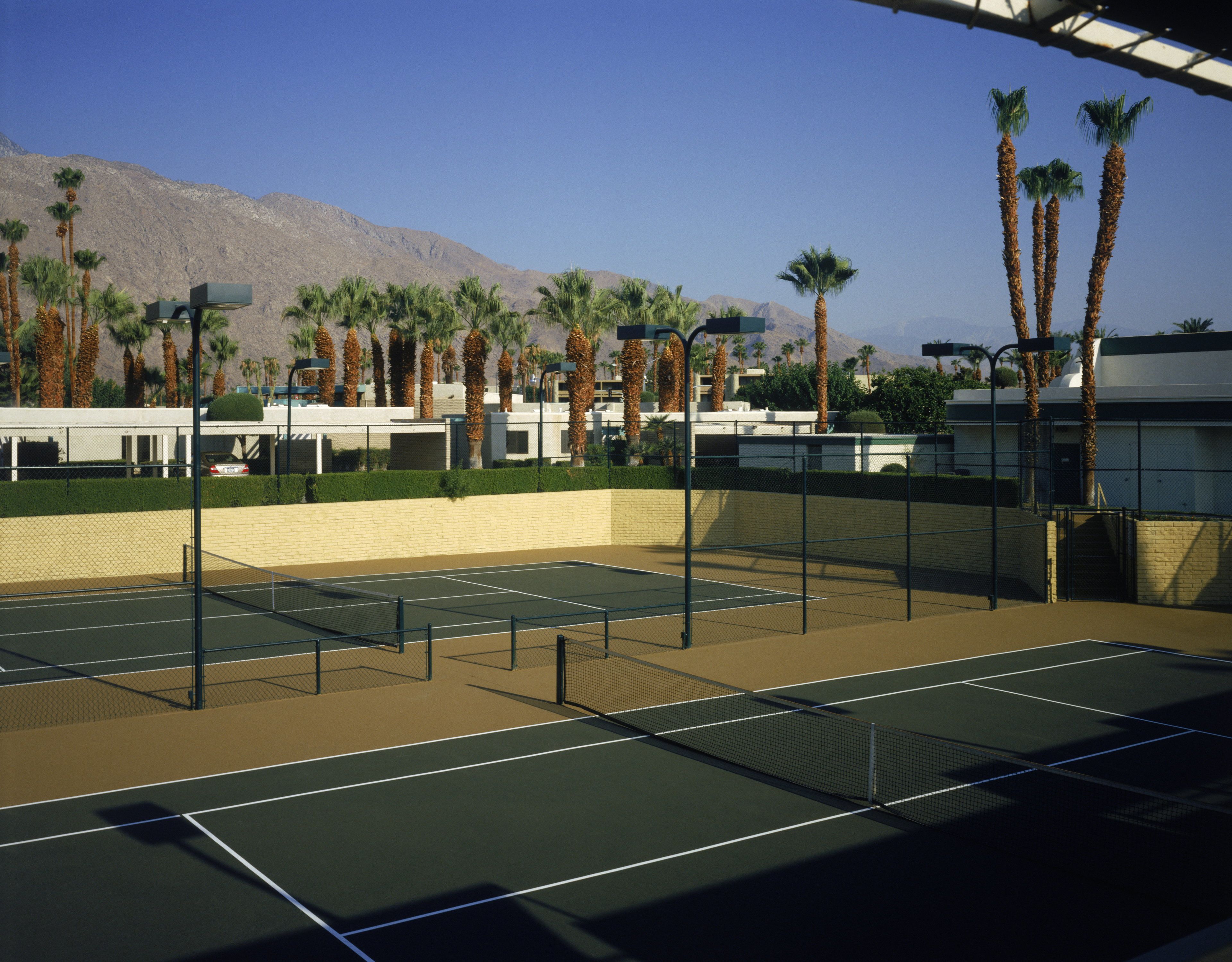 An outdoor tennis court with a net, surrounded by palm trees and a mountain in the background.