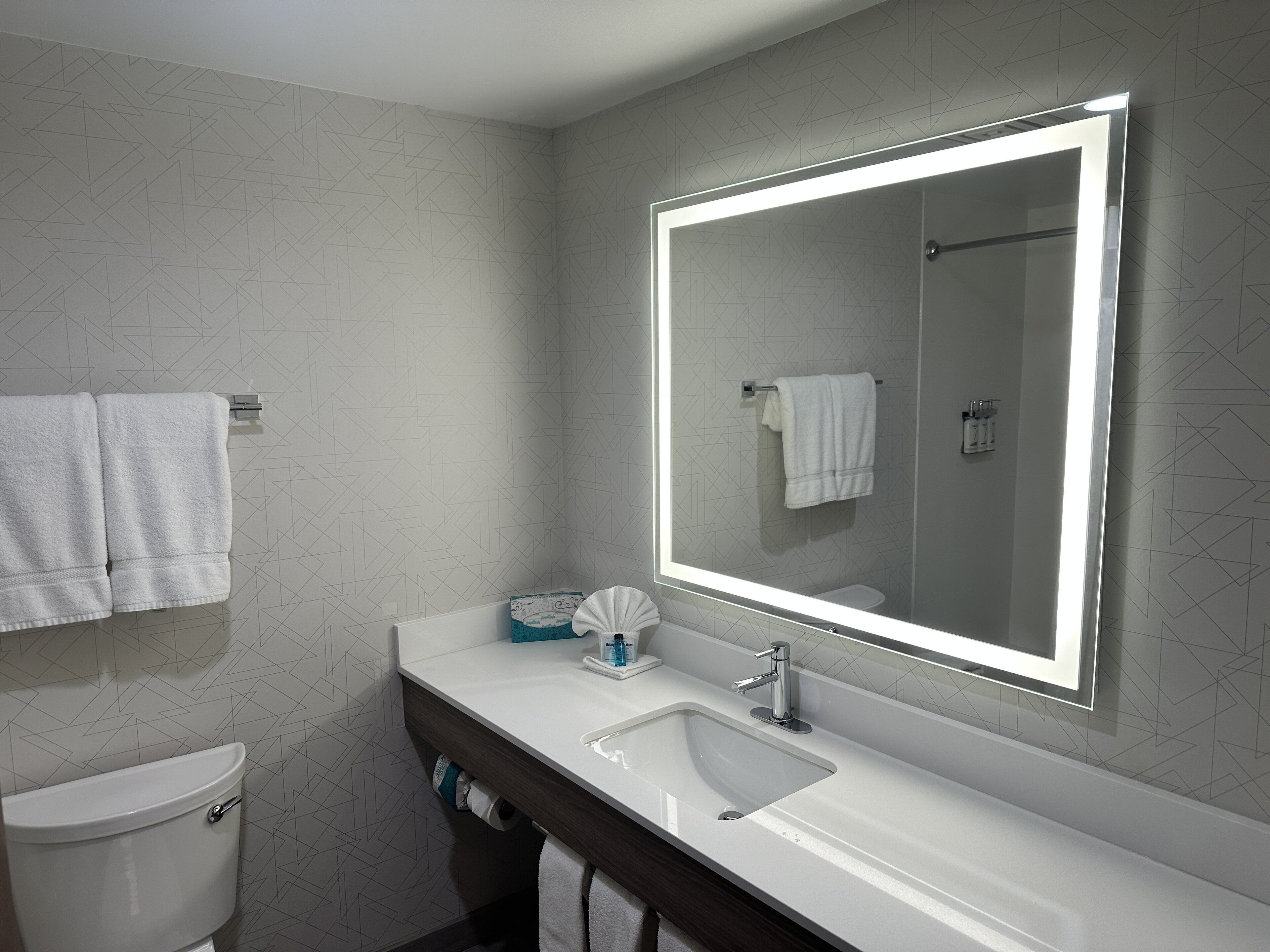 eco-friendly toiletries, hair dryer, towels