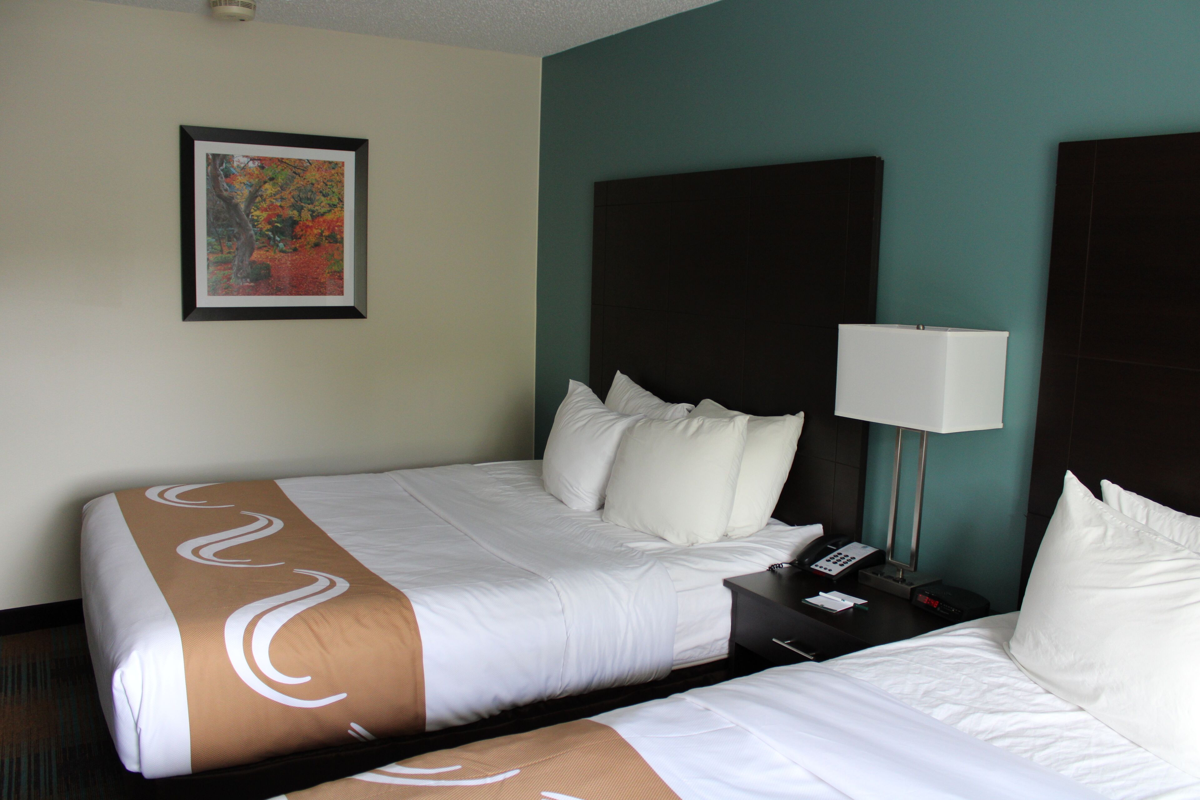 standard room, 2 queen beds, non smoking | 1 bedroom, premium bedding, desk, laptop workspace