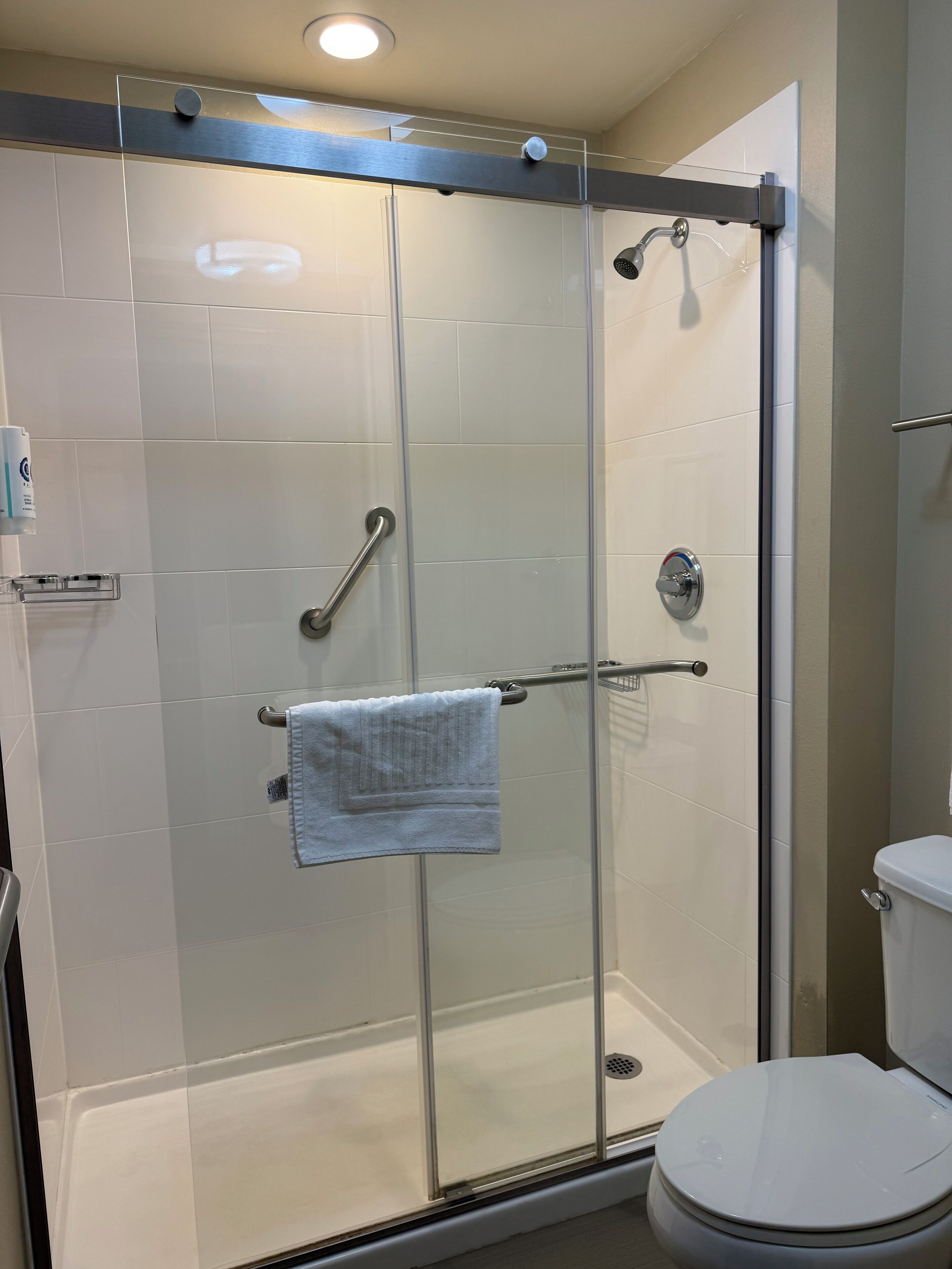 A modern bathroom with a glass-enclosed shower, a toilet, and a towel rack.