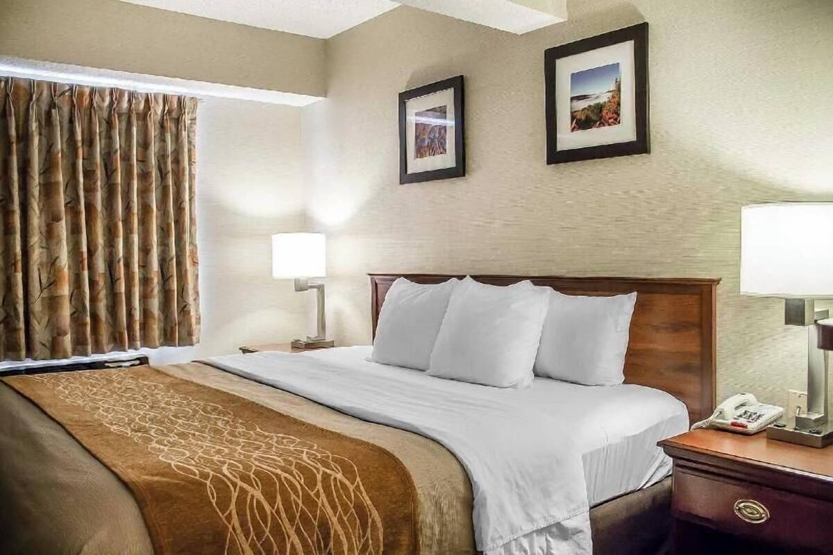 A hotel room with a bed, curtains, two framed pictures on the wall, a bedside lamp, and a phone on the nightstand.