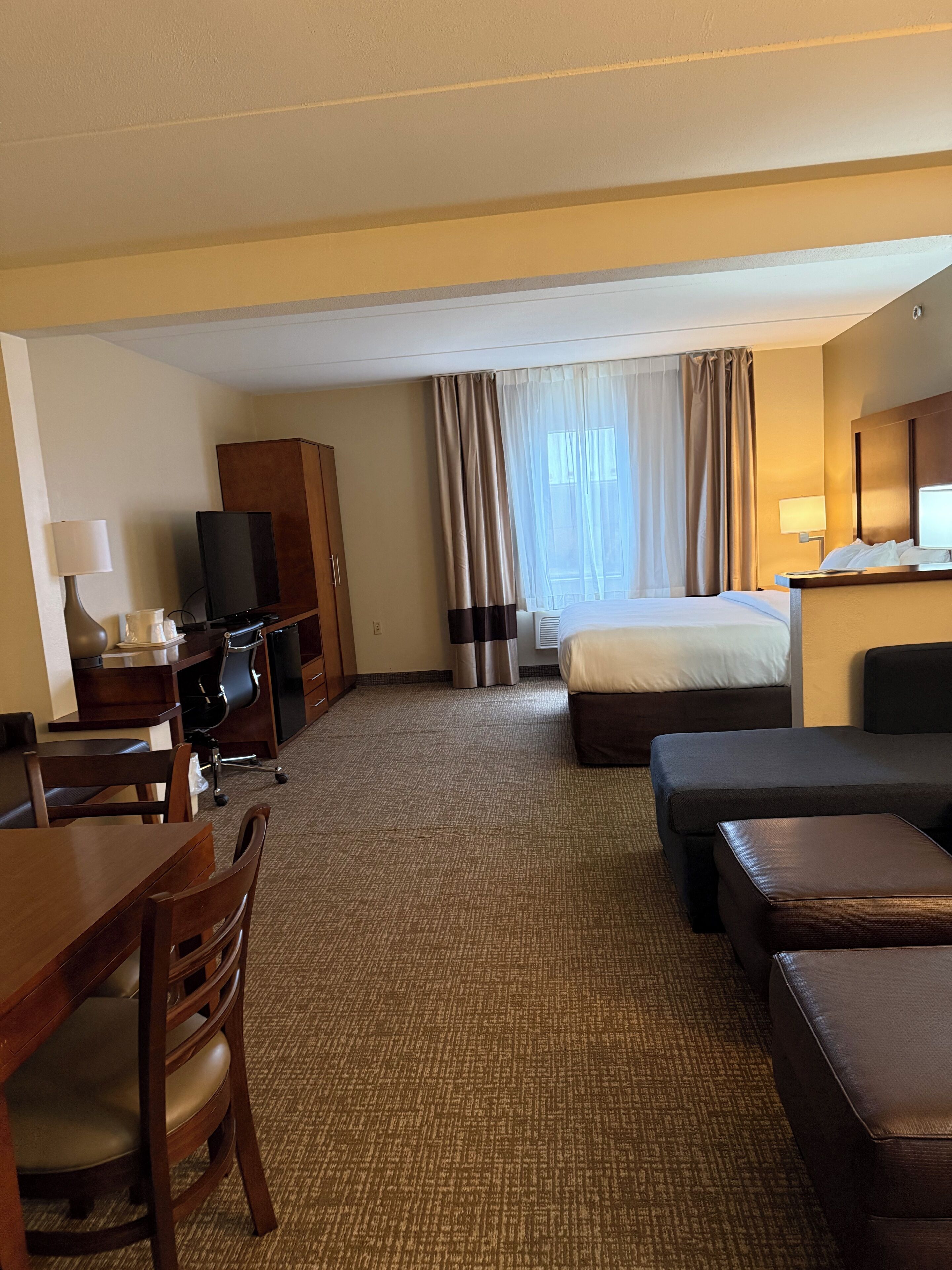 Habitación de hotel con cama, escritorio con silla, televisión, armario y zona de baño con cortina de ducha.