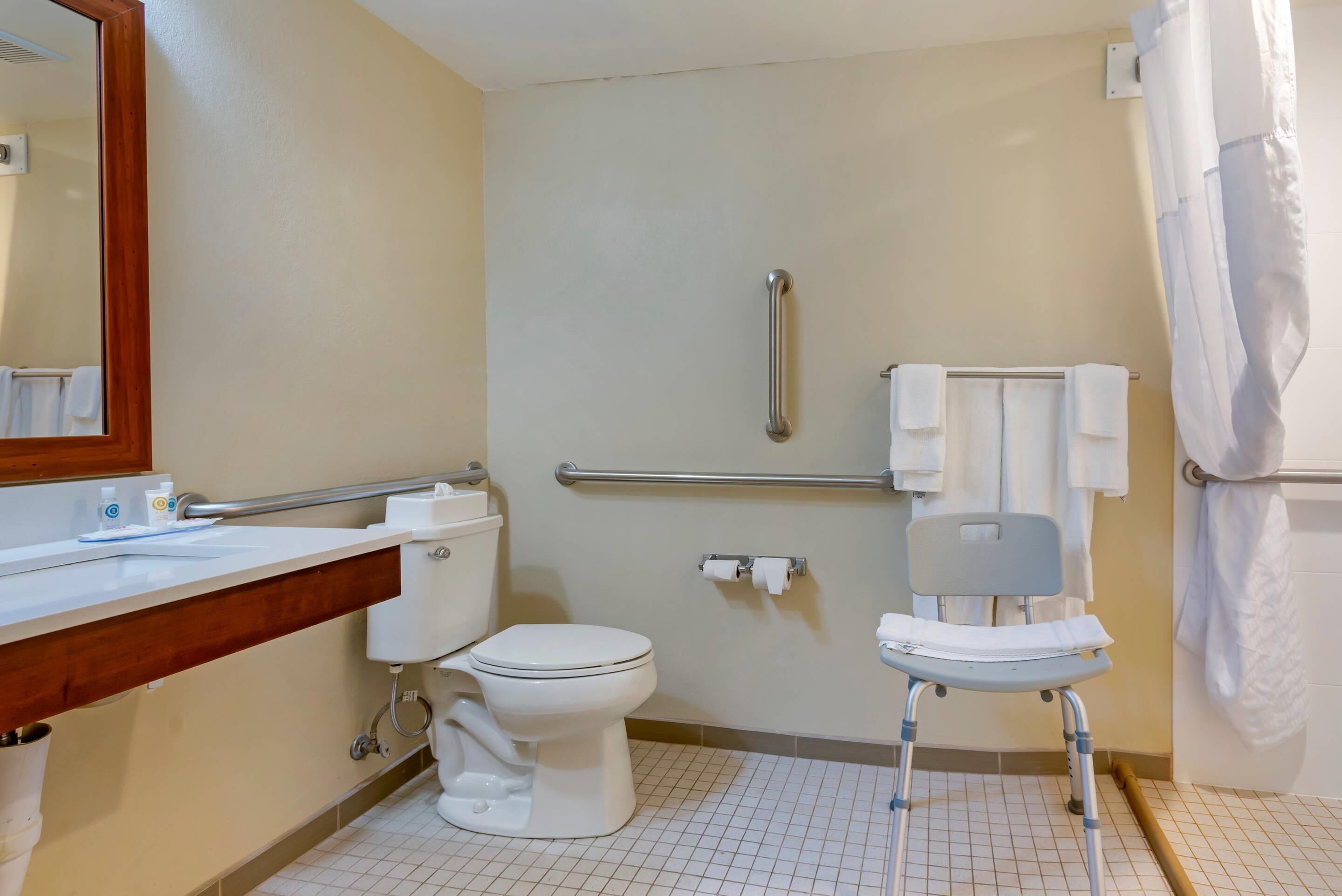 A bathroom with a toilet, a sink with a mirror, a shower area, and a grab bar.