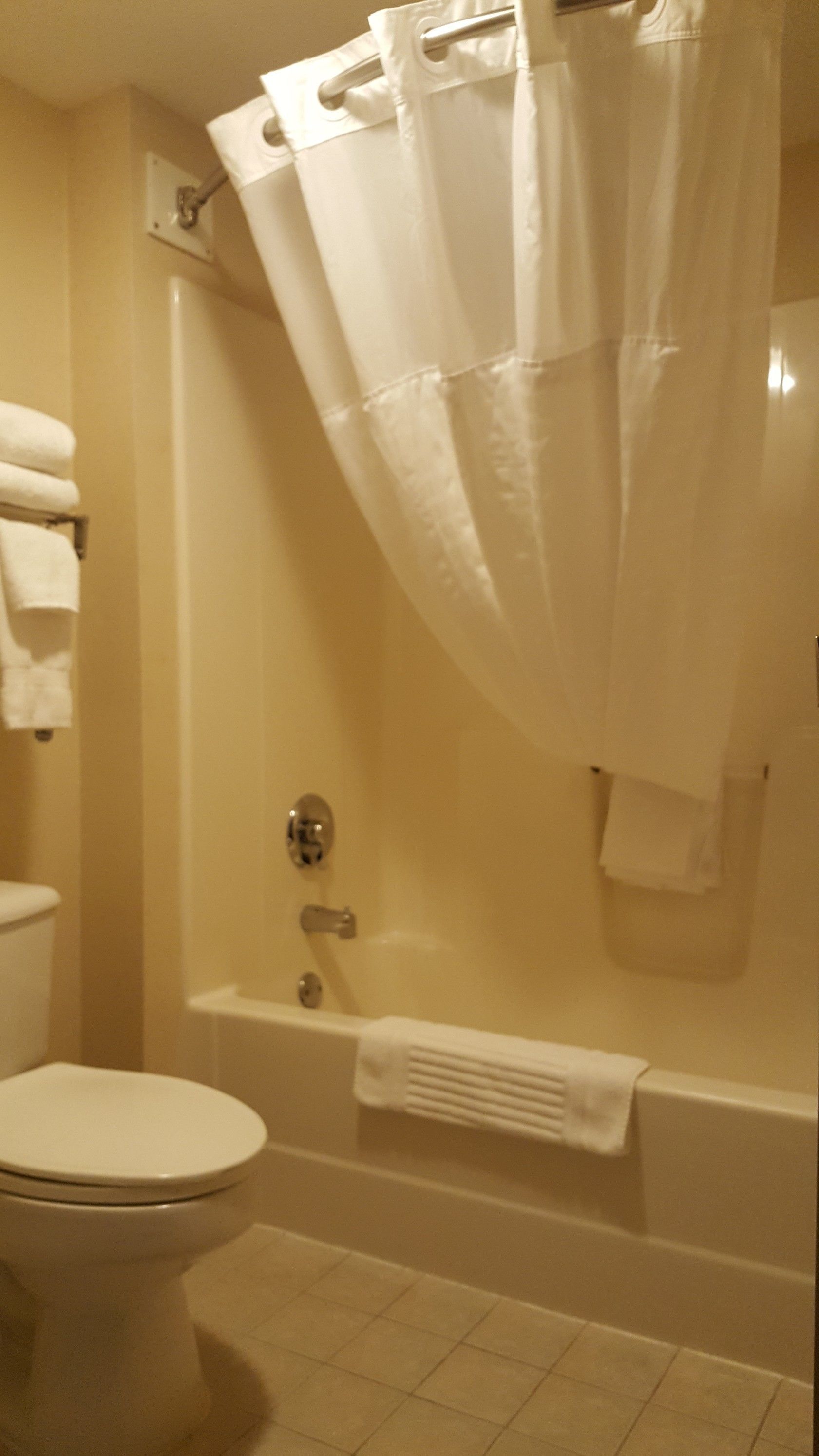 A bathroom with a toilet, bathtub, and shower curtain.