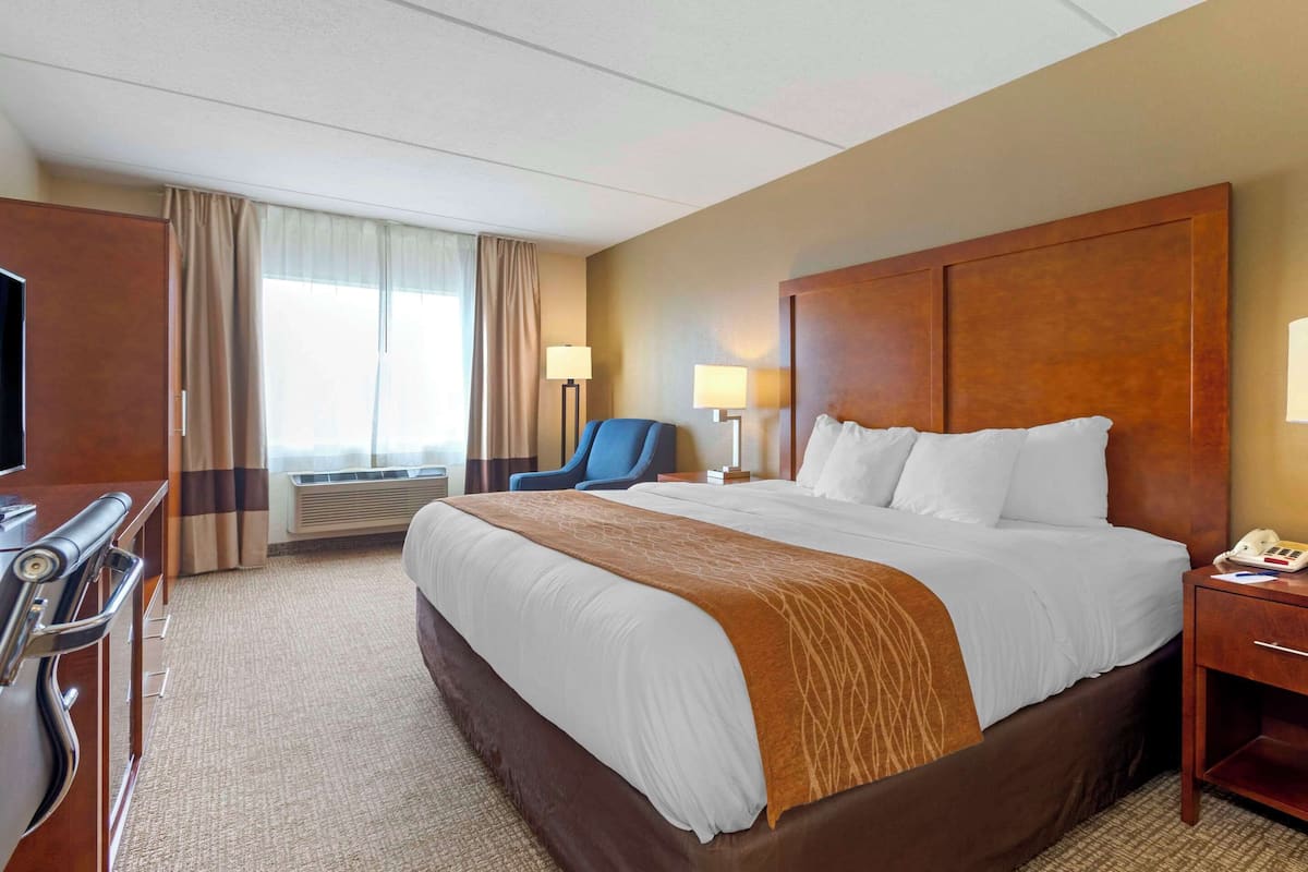 Standard Room, 1 King Bed, Non Smoking