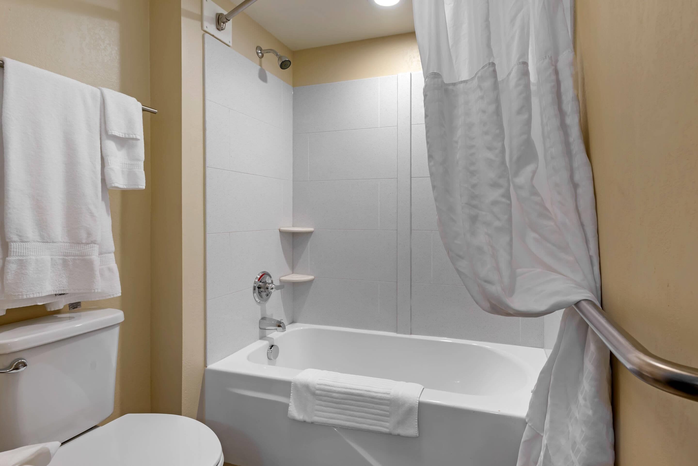 Une salle de bain avec une baignoire, des toilettes et un porte-serviettes.