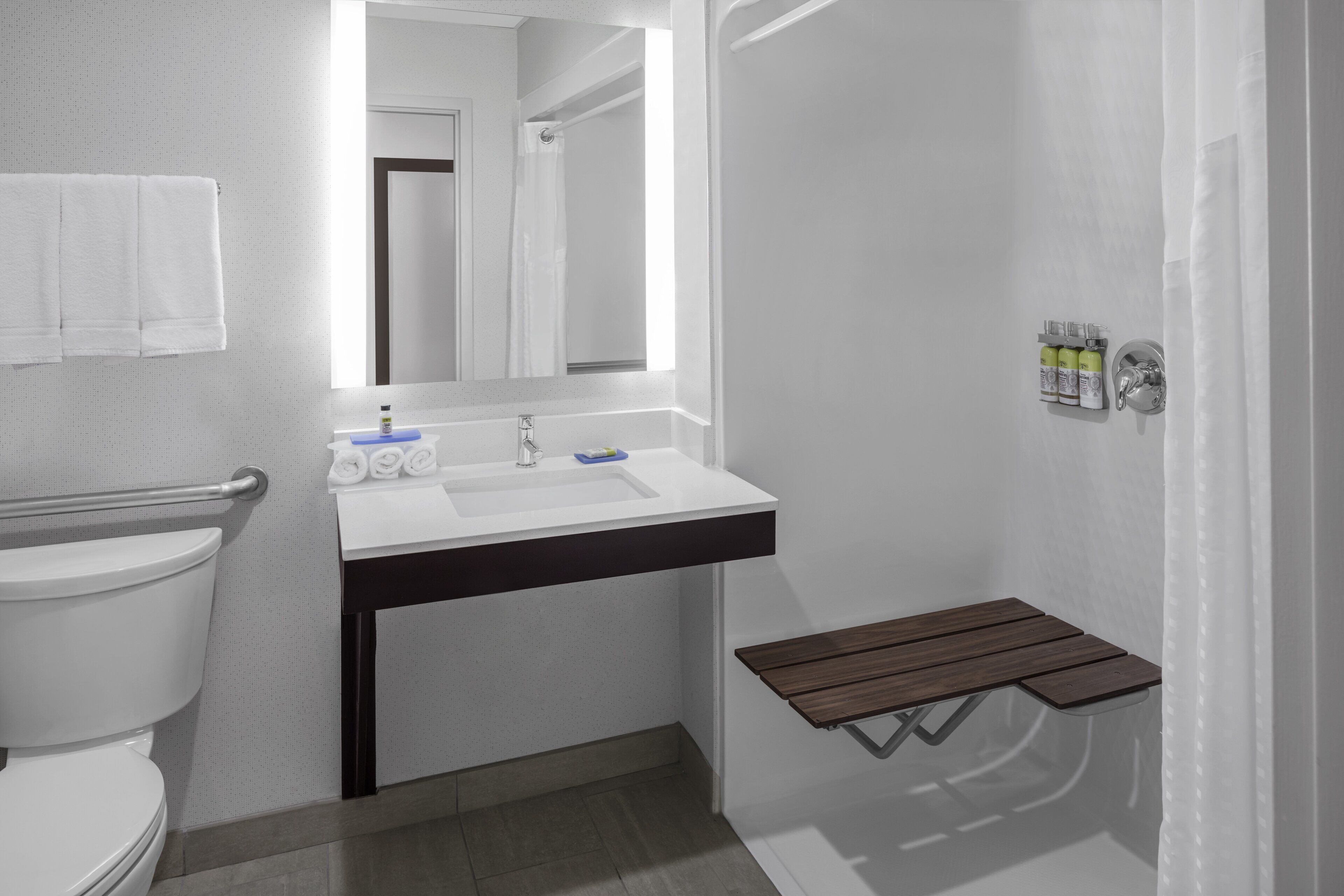 standard room, 1 queen bed, accessible (roll-in shower) | bathroom | free toiletries, hair dryer, towels, soap