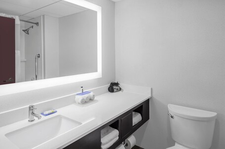 Holiday Inn Express Suites Asheville SW Outlet Ctr Area - Image 27