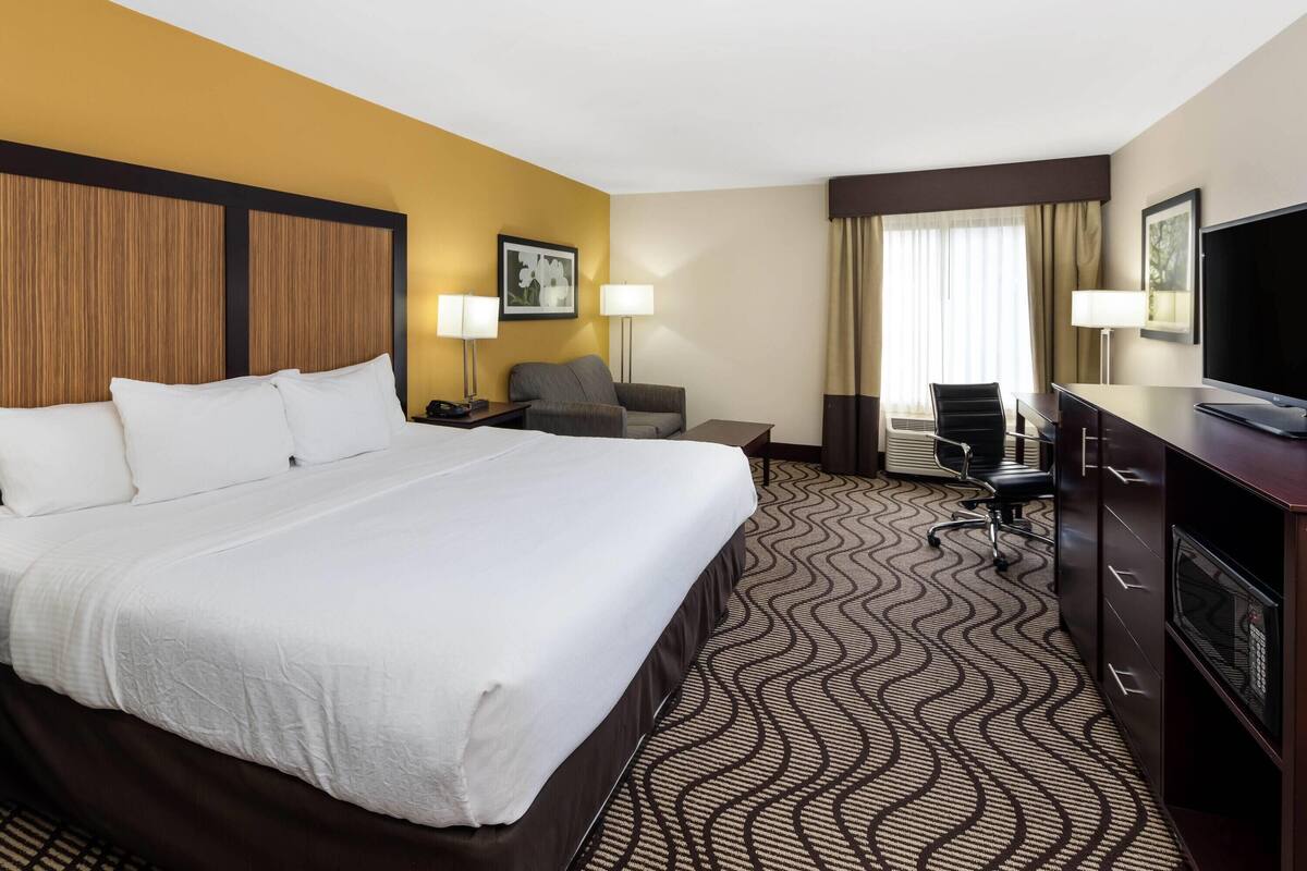 Une chambre d’hôtel avec un grand lit, un bureau, une chaise, une télévision et une lampe de bureau.