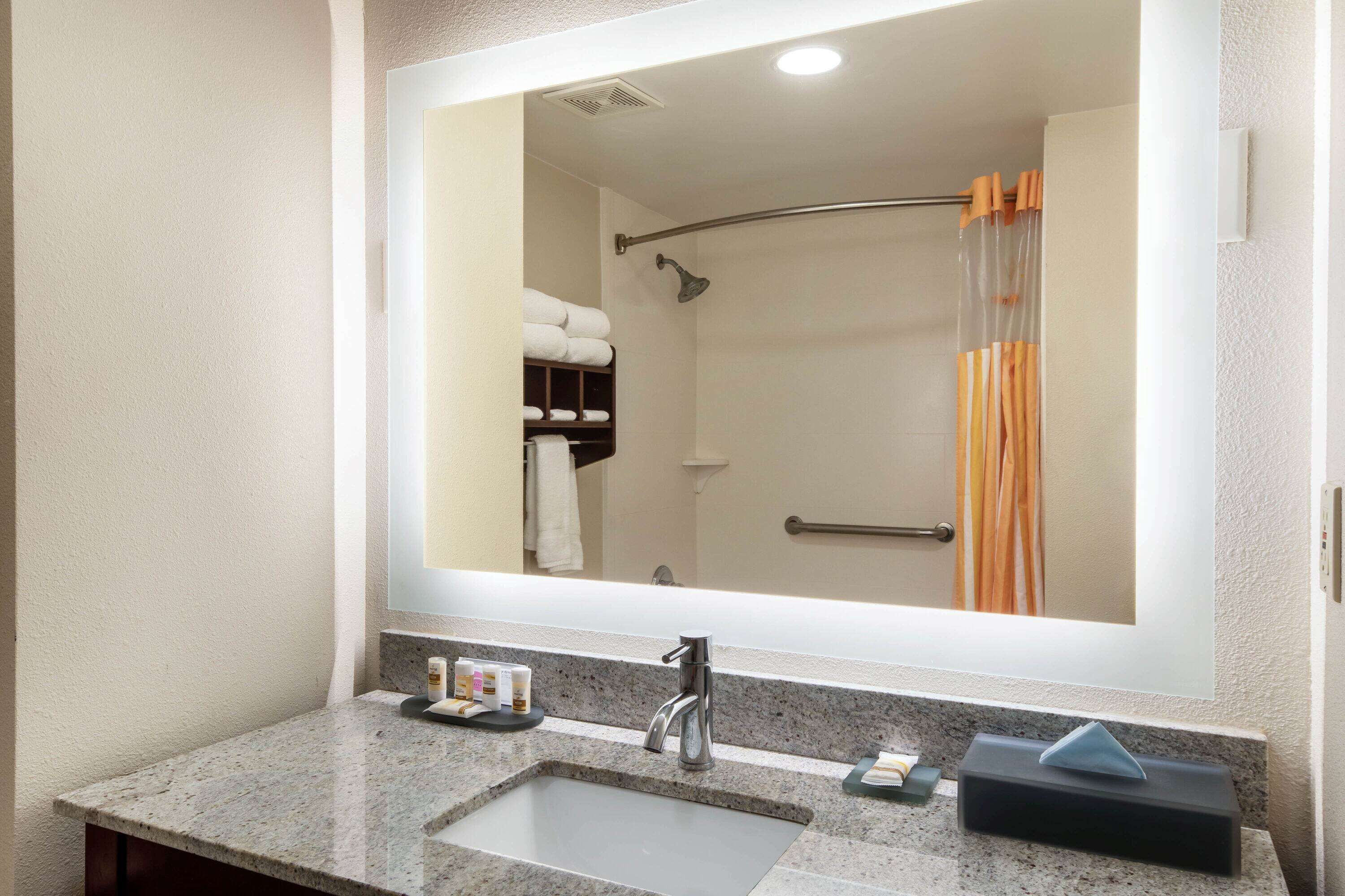 Une salle de bain avec un lavabo, un miroir et une douche.
