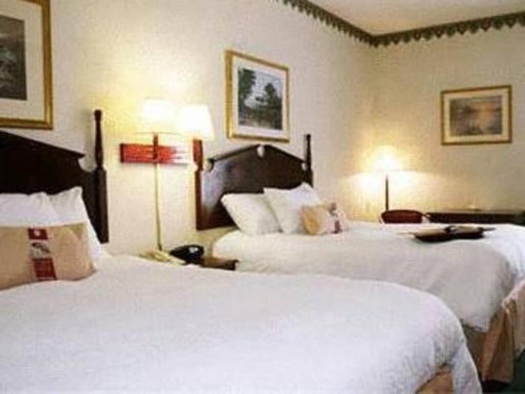 Premium bedding, individually decorated, individually furnished, desk