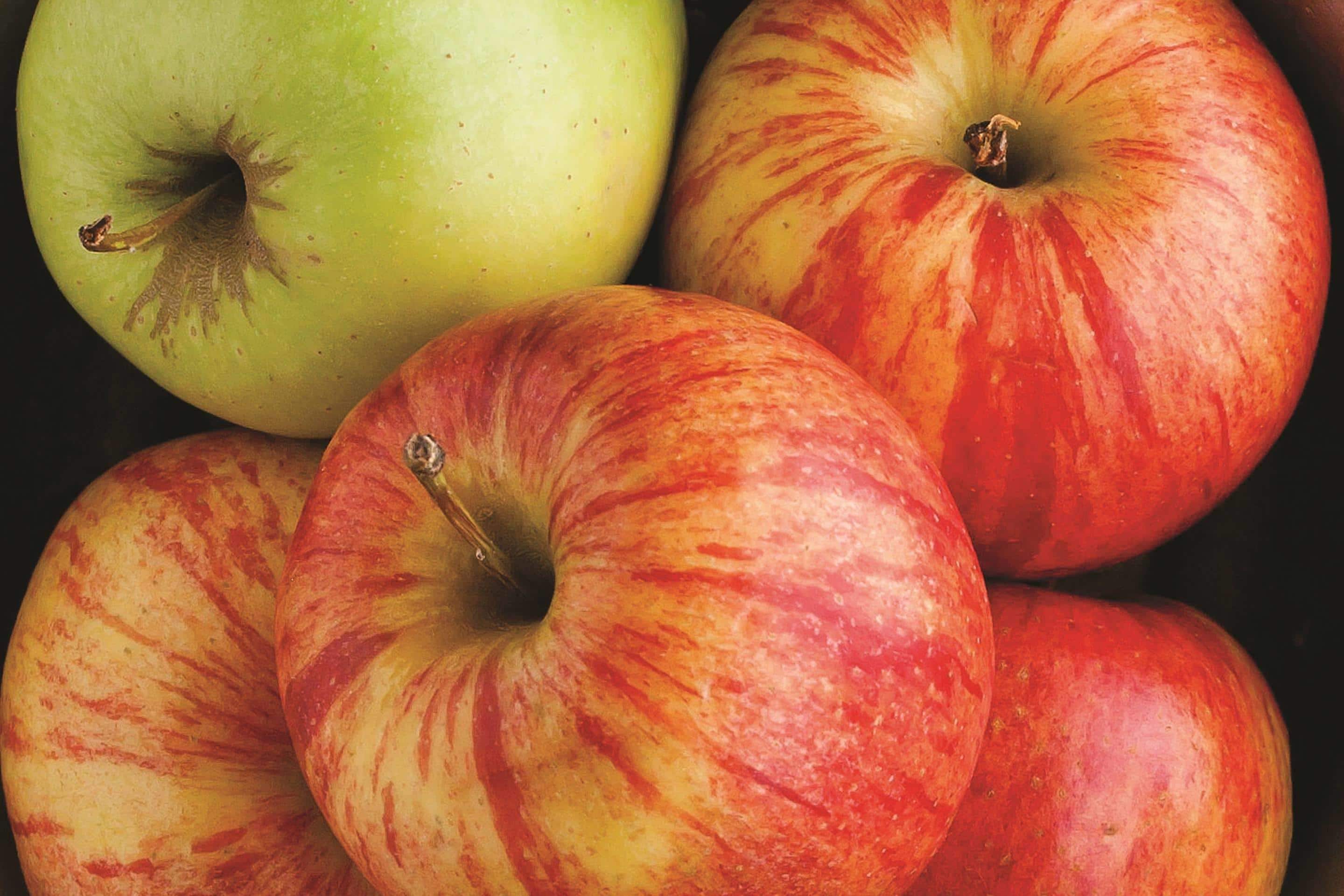 Foto - La Quinta by Wyndham New York City Central Park