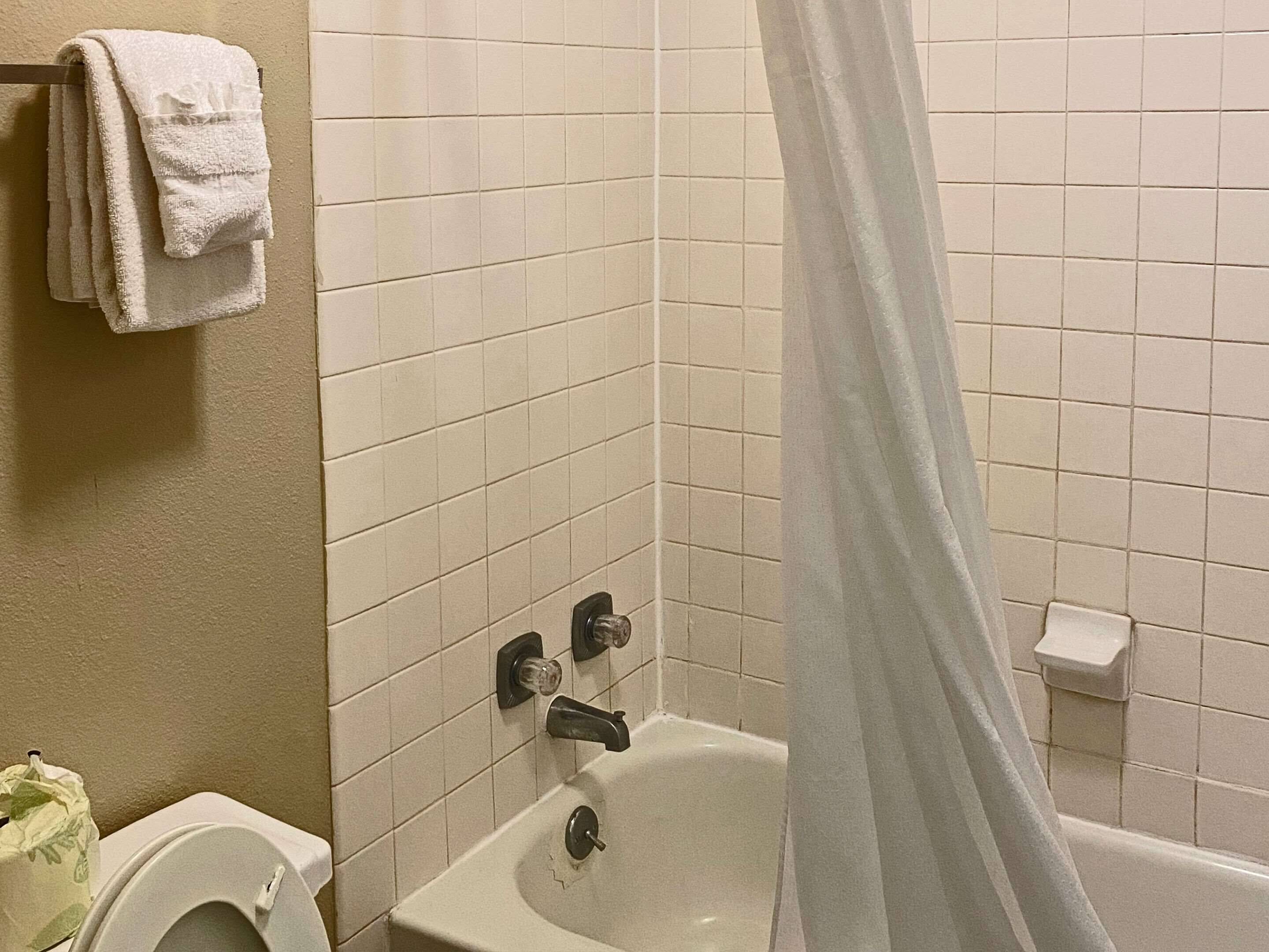 A bathroom with a bathtub, a toilet, and a shower curtain.