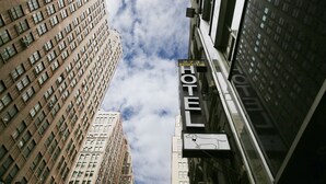A hotel sign with a dog symbol, indicating pet-friendly accommodation. - Doxie Hotel (New York)