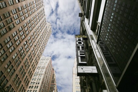 Doxie Hotel - Image 2