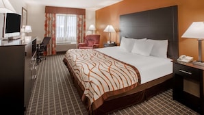 Una habitación de hotel con una cama grande, un escritorio con computadora, una silla y un televisor.