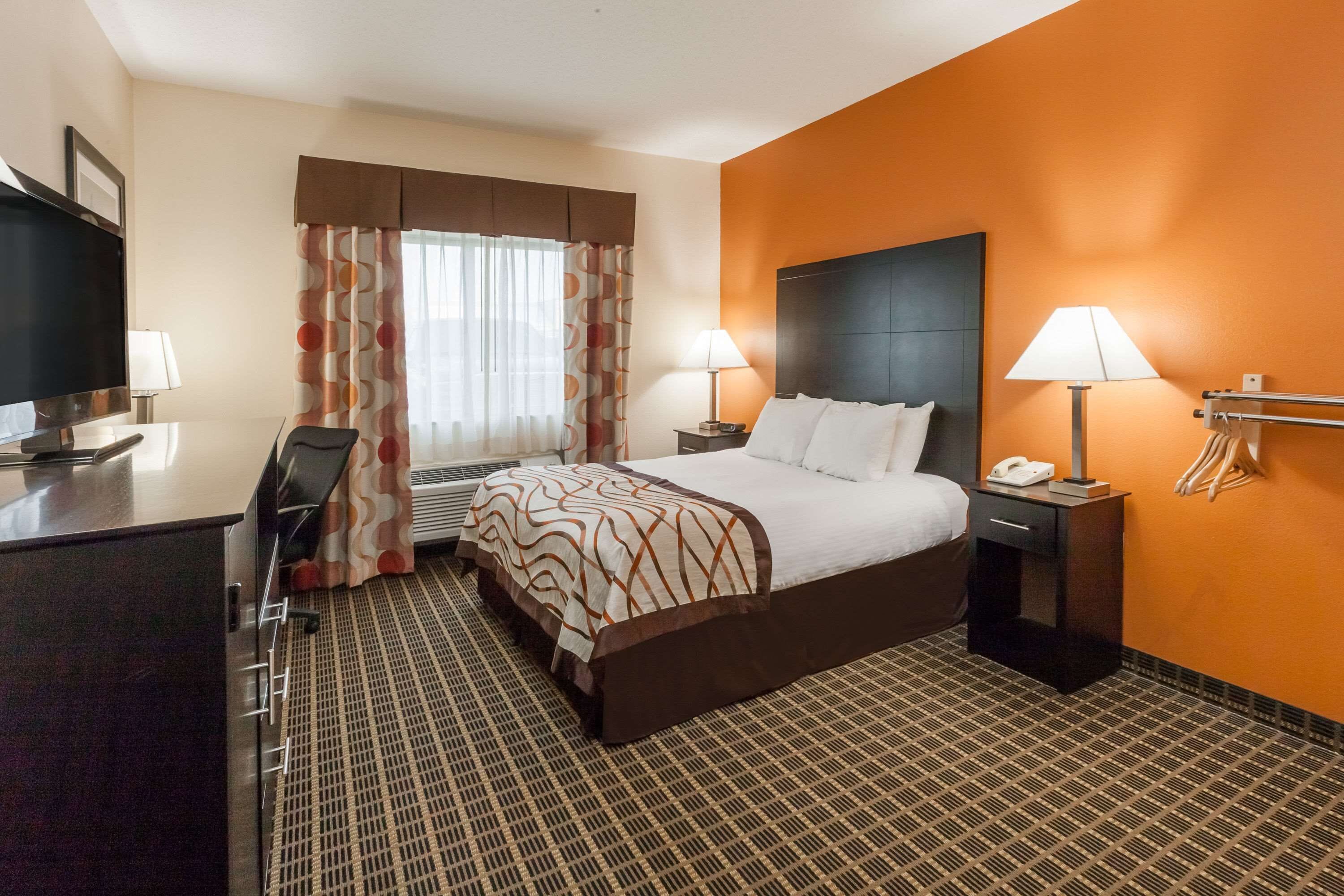 Bureau, fer et planche à repasser, lits bébé (gratuits), Wi-Fi gratuit