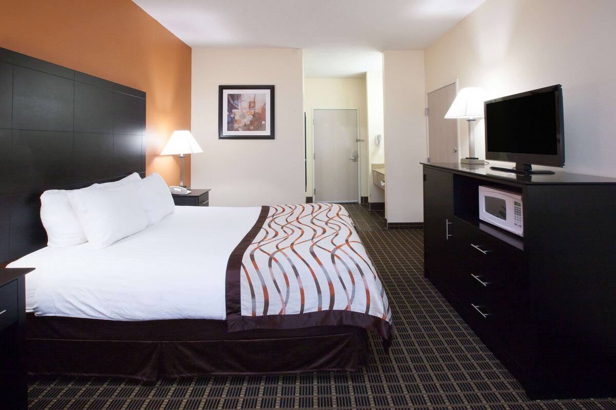 A hotel room with a bed, a desk, a television, and a microwave.