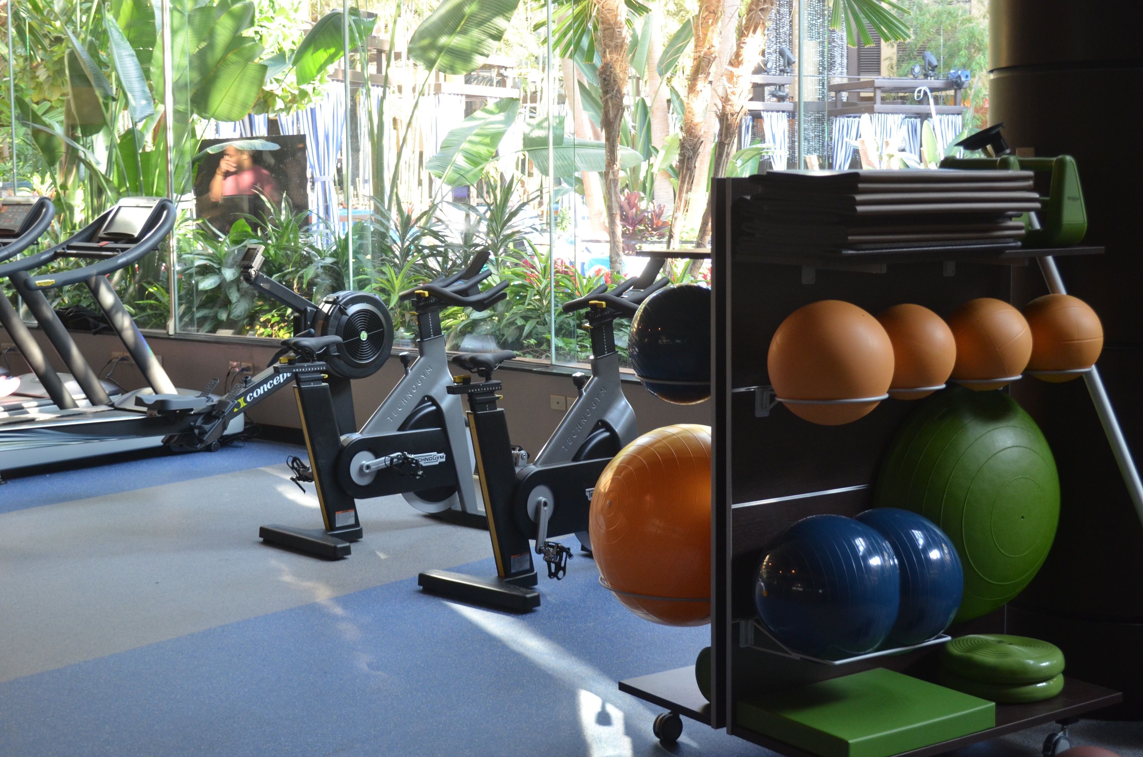 A gym with exercise equipment, including stationary bikes and a rack of exercise balls.