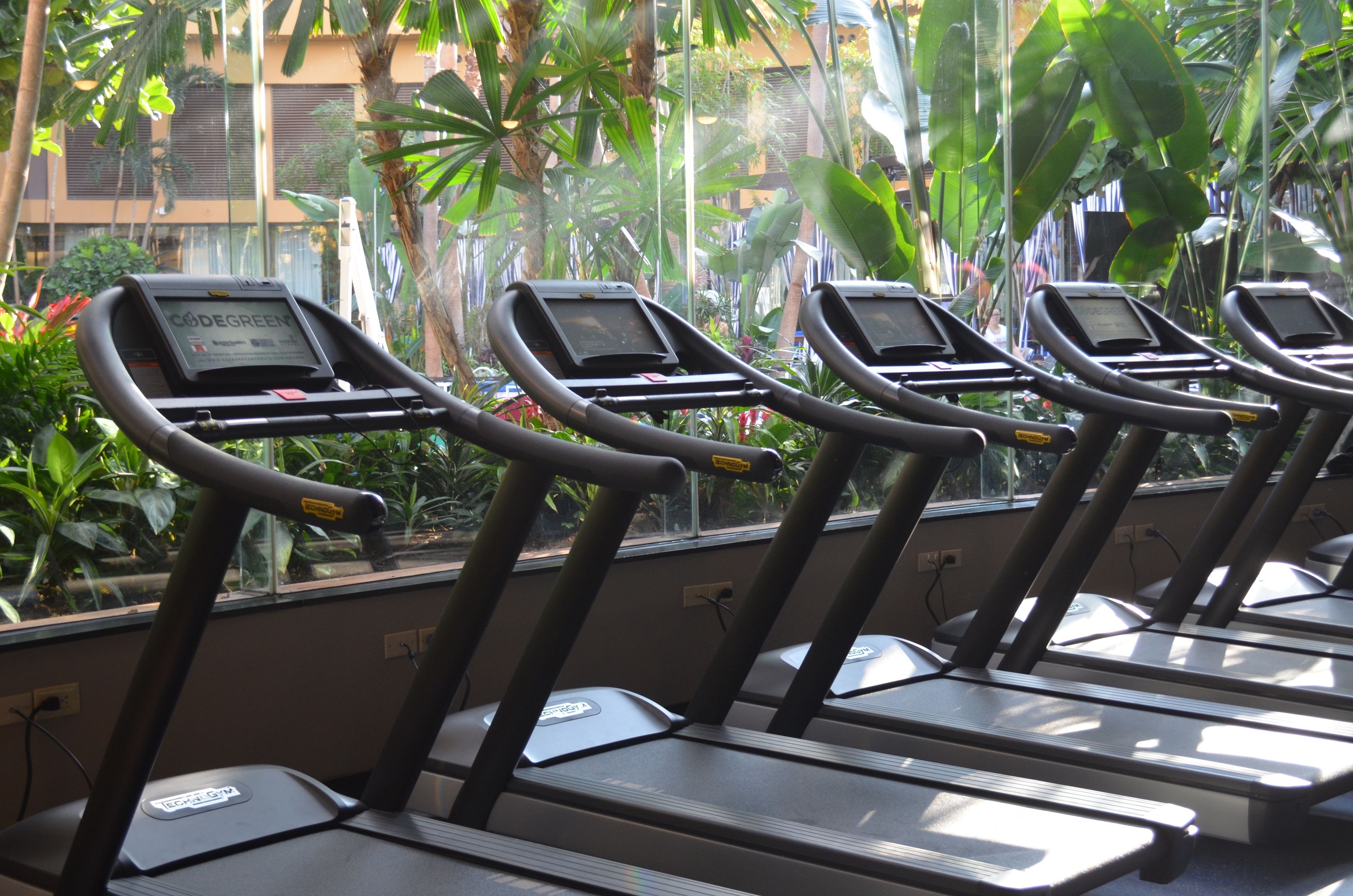 A row of treadmills with digital displays, positioned near a window with a view of lush greenery and a building in the background.