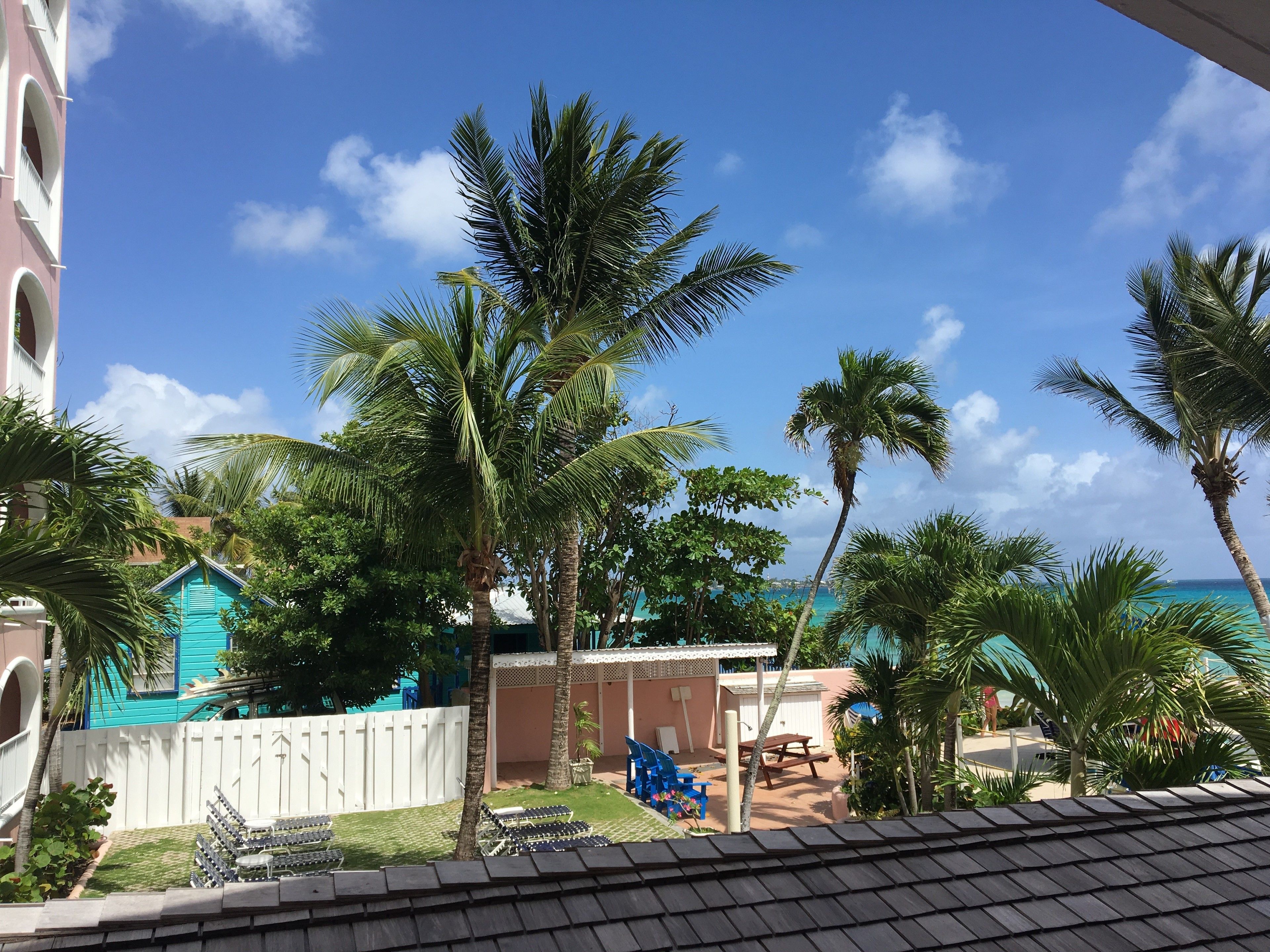 Un resort con piscina, palmeras y vista al océano.