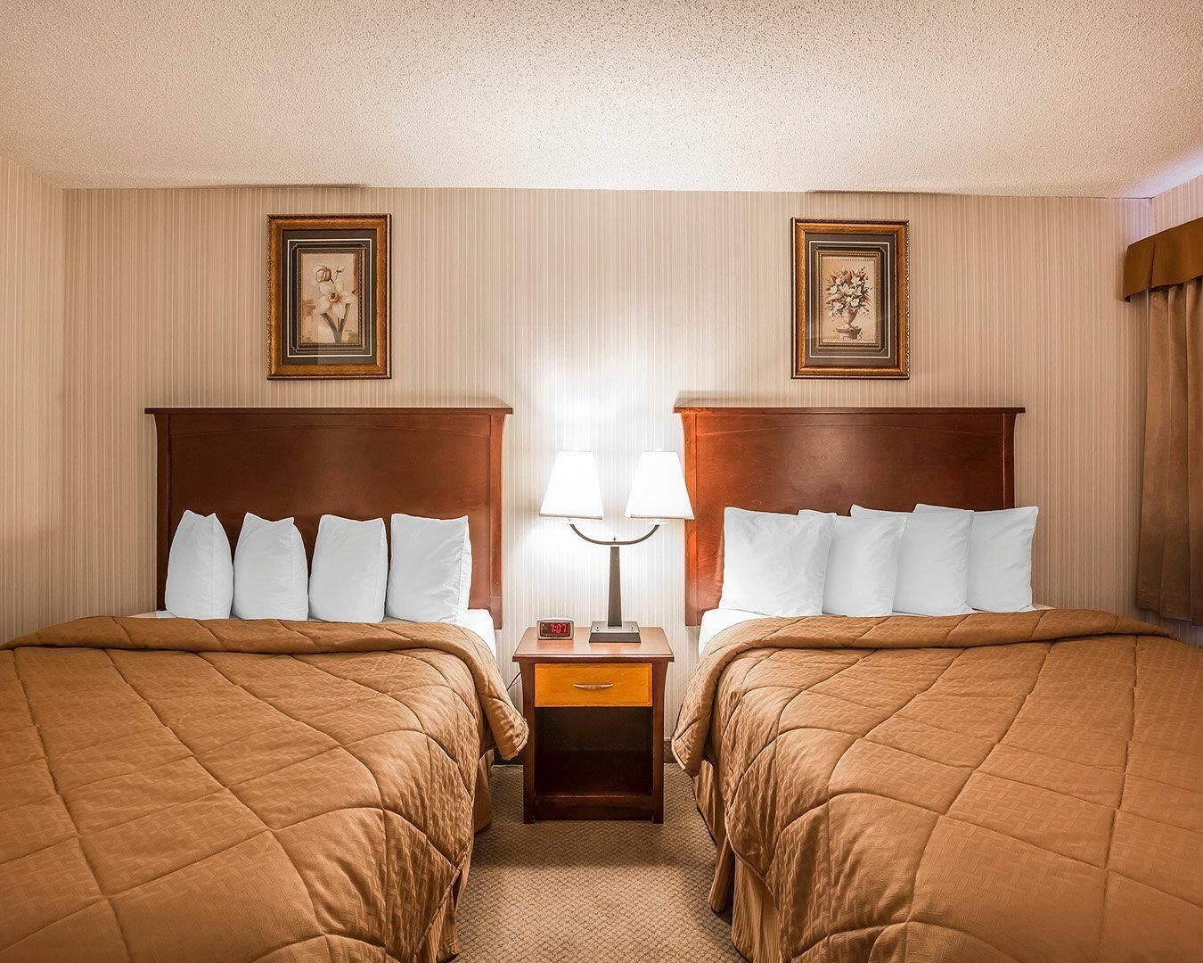 Habitación de hotel con dos camas, una mesita de noche con lámpara y cuadros en las paredes.