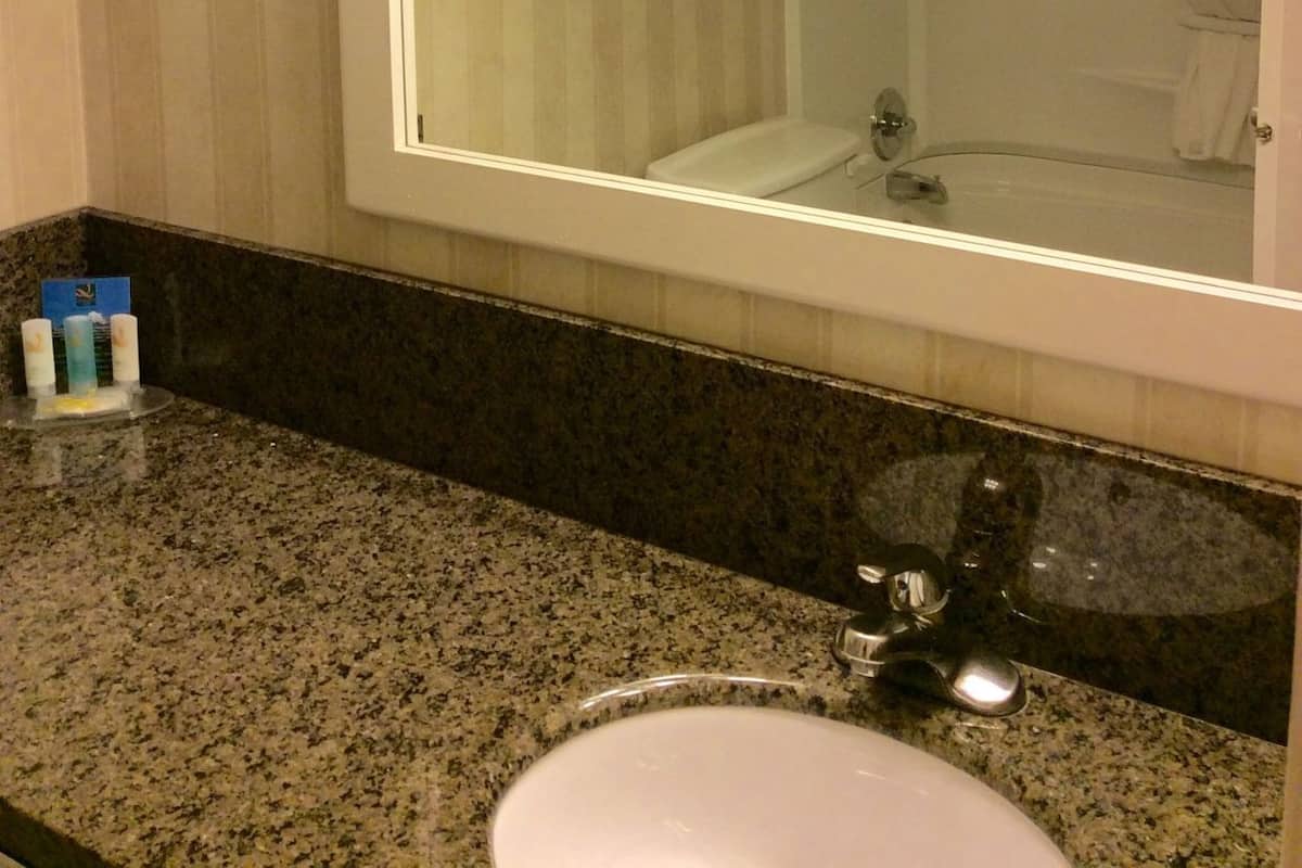 Bathroom | Combined shower/tub, free toiletries, hair dryer, towels
