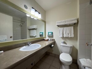 Separate tub and shower, free toiletries, hair dryer, towels