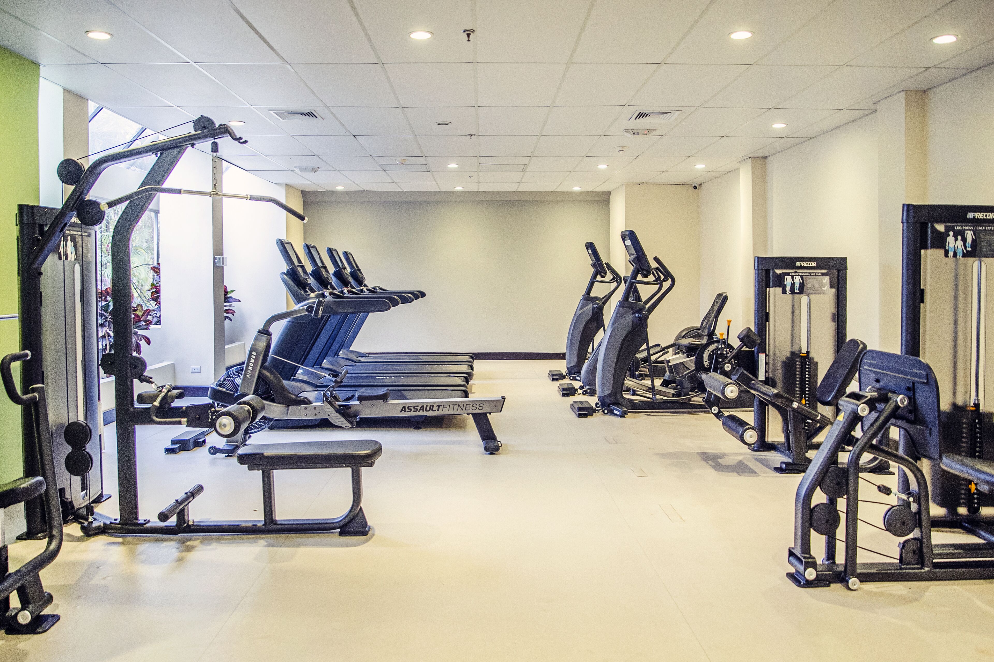 A gym with treadmills, elliptical machines, and weightlifting equipment.