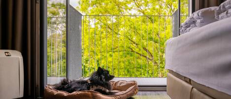 Une pièce avec une grande fenêtre, un panier pour chien, un petit bol et un lit.