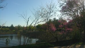 A park with a fence, trees, and a body of water. - HomeTowne Studios by Red Roof Chantilly (Chantilly)