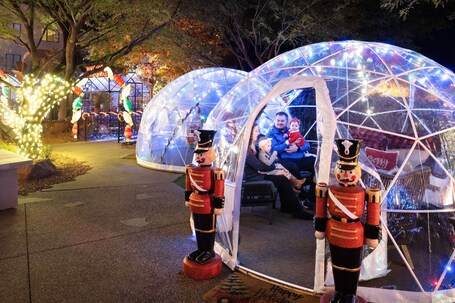 Hilton Sedona Resort at Bell Rock - Image 32