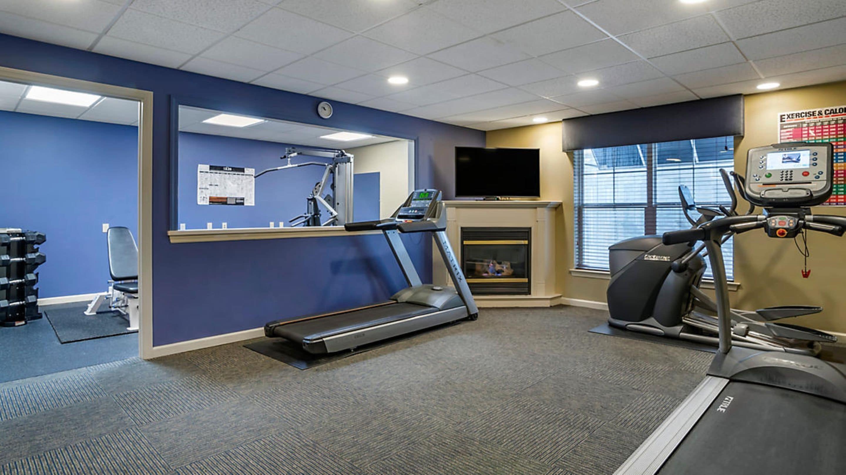 A gym with treadmills, a stationary bike, and weight machines.
