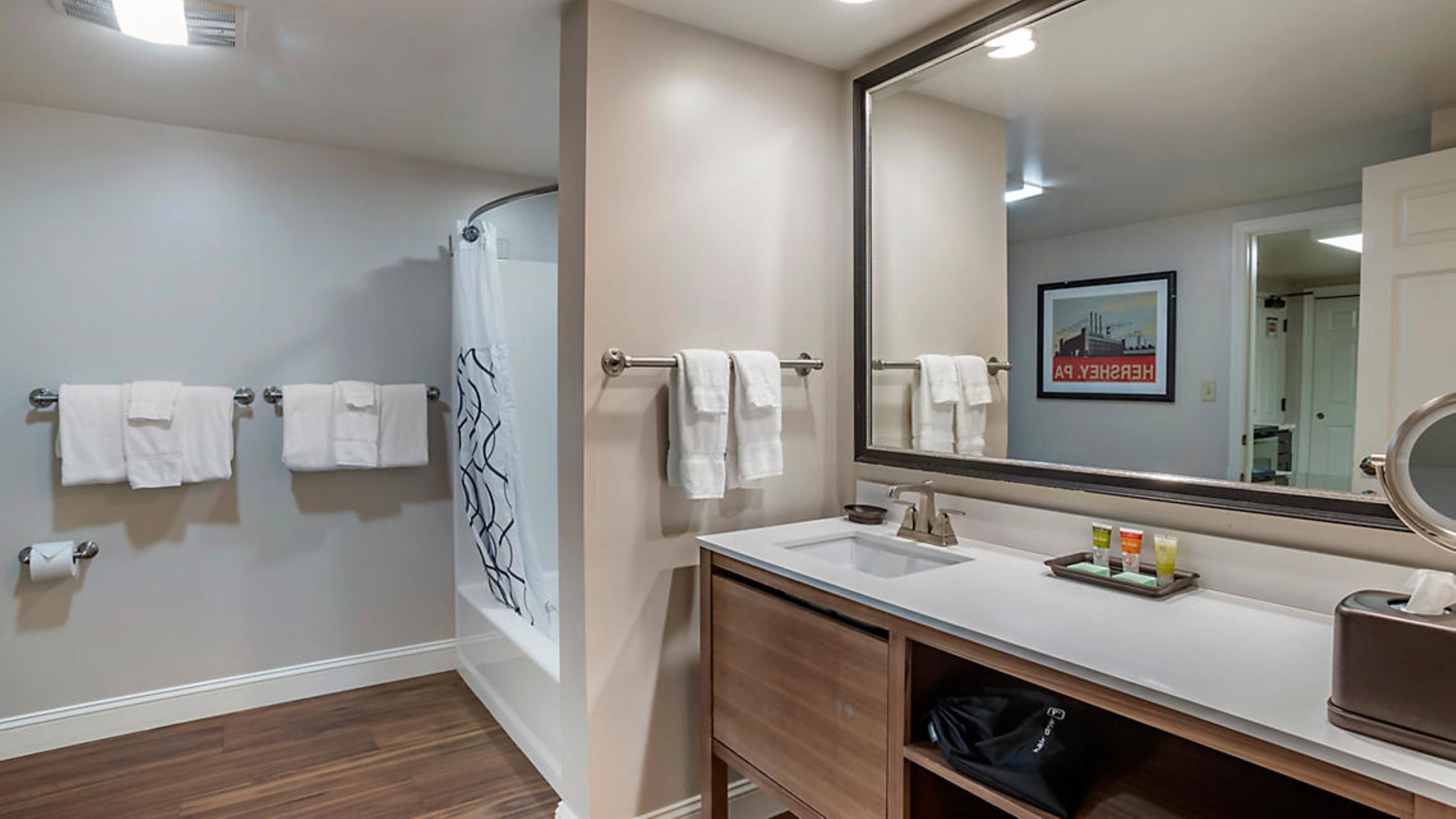 Combined shower/bathtub, free toiletries, hair dryer, towels
