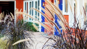 A red brick building with a blue door and windows, surrounded by tall grasses. - Hotel Del Sol (San Francisco)