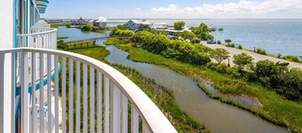 Coconut Malorie Resort Ocean City, Ascend Collection Hotel