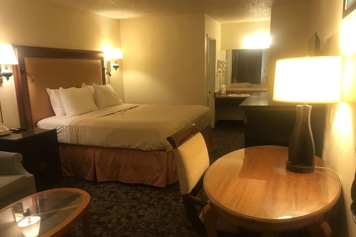 Premium bedding, desk, iron/ironing board (on request), WiFi (free)