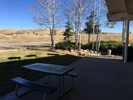 BBQ/picnic area