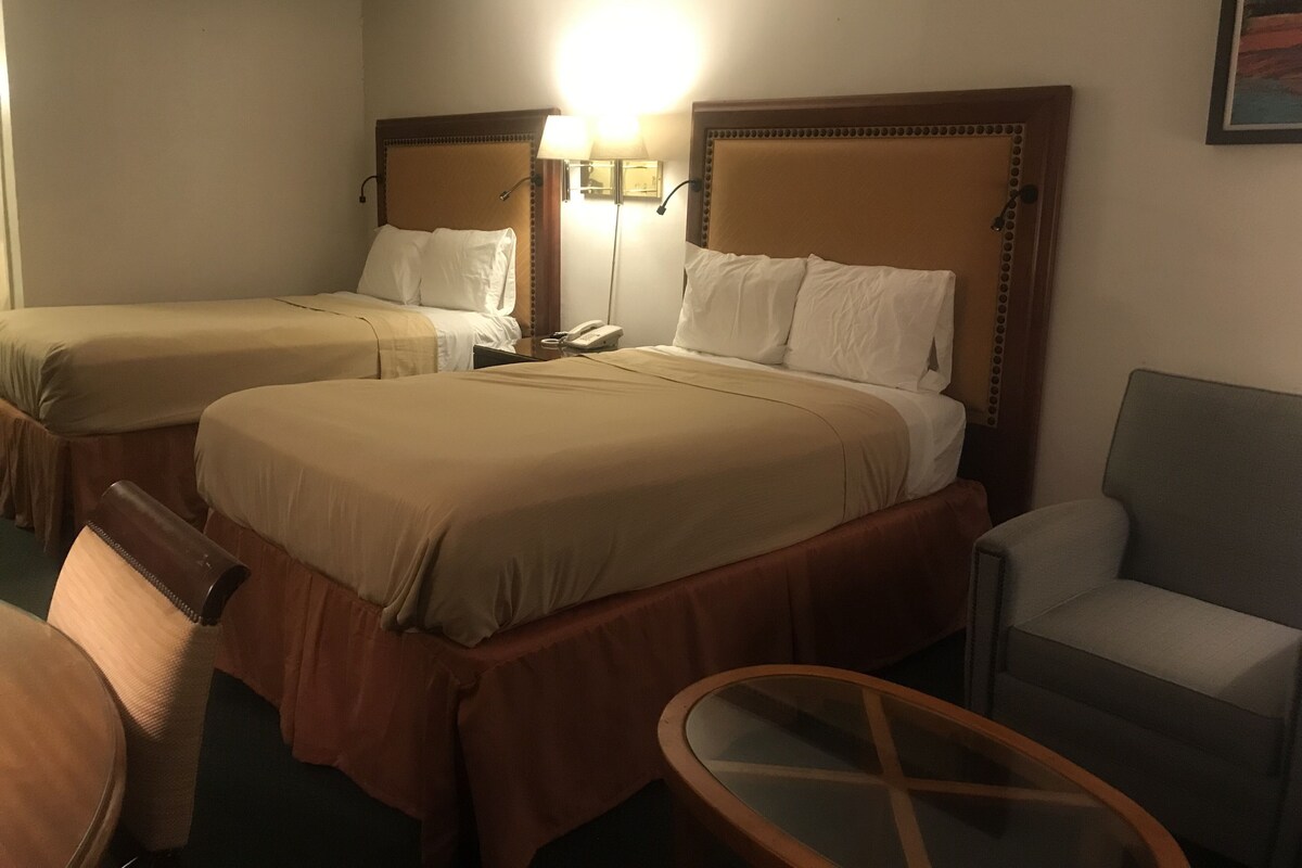 Premium bedding, desk, iron/ironing board (on request), WiFi (free)