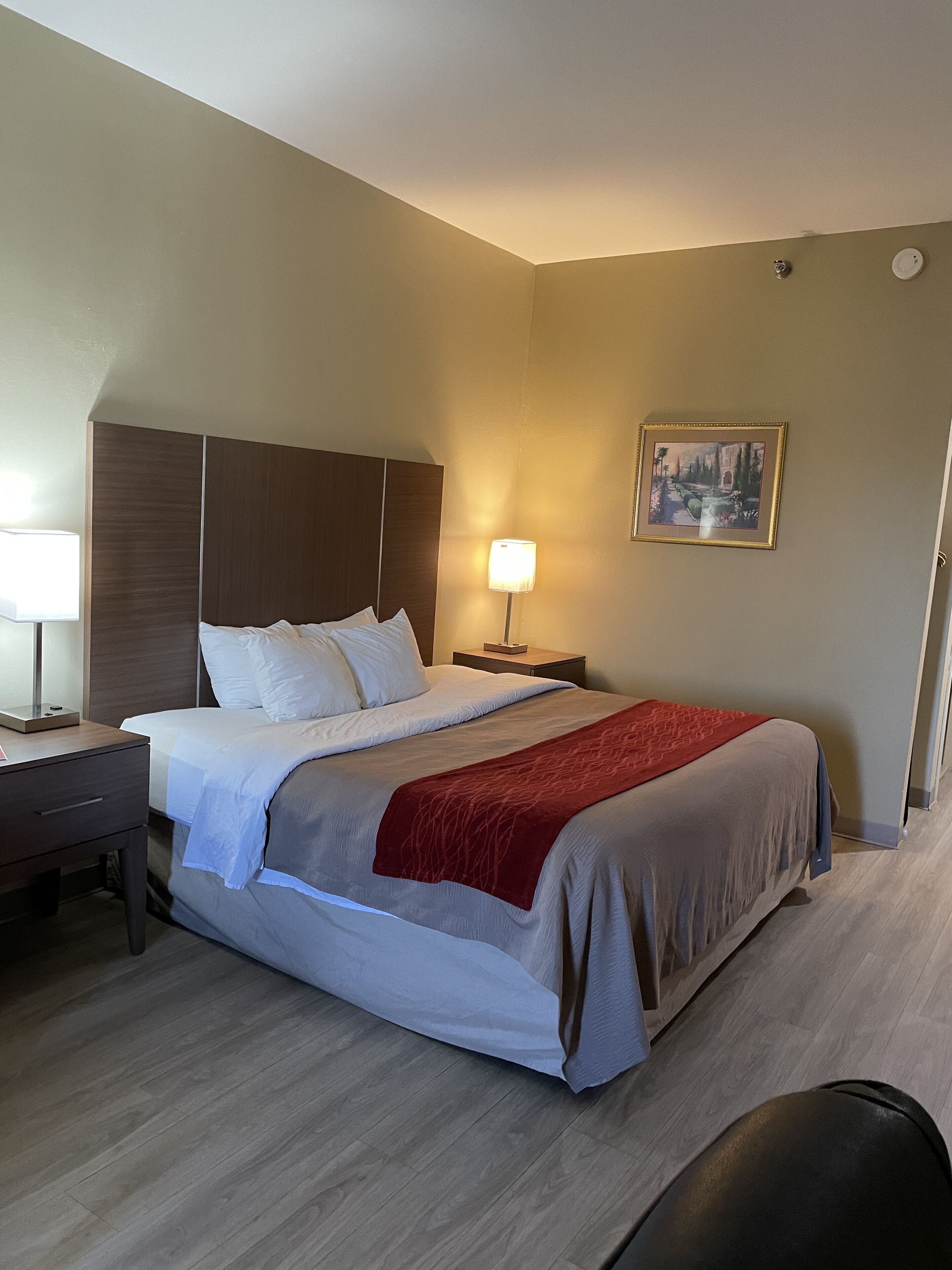 Standard Room, 1 King Bed, Non Smoking