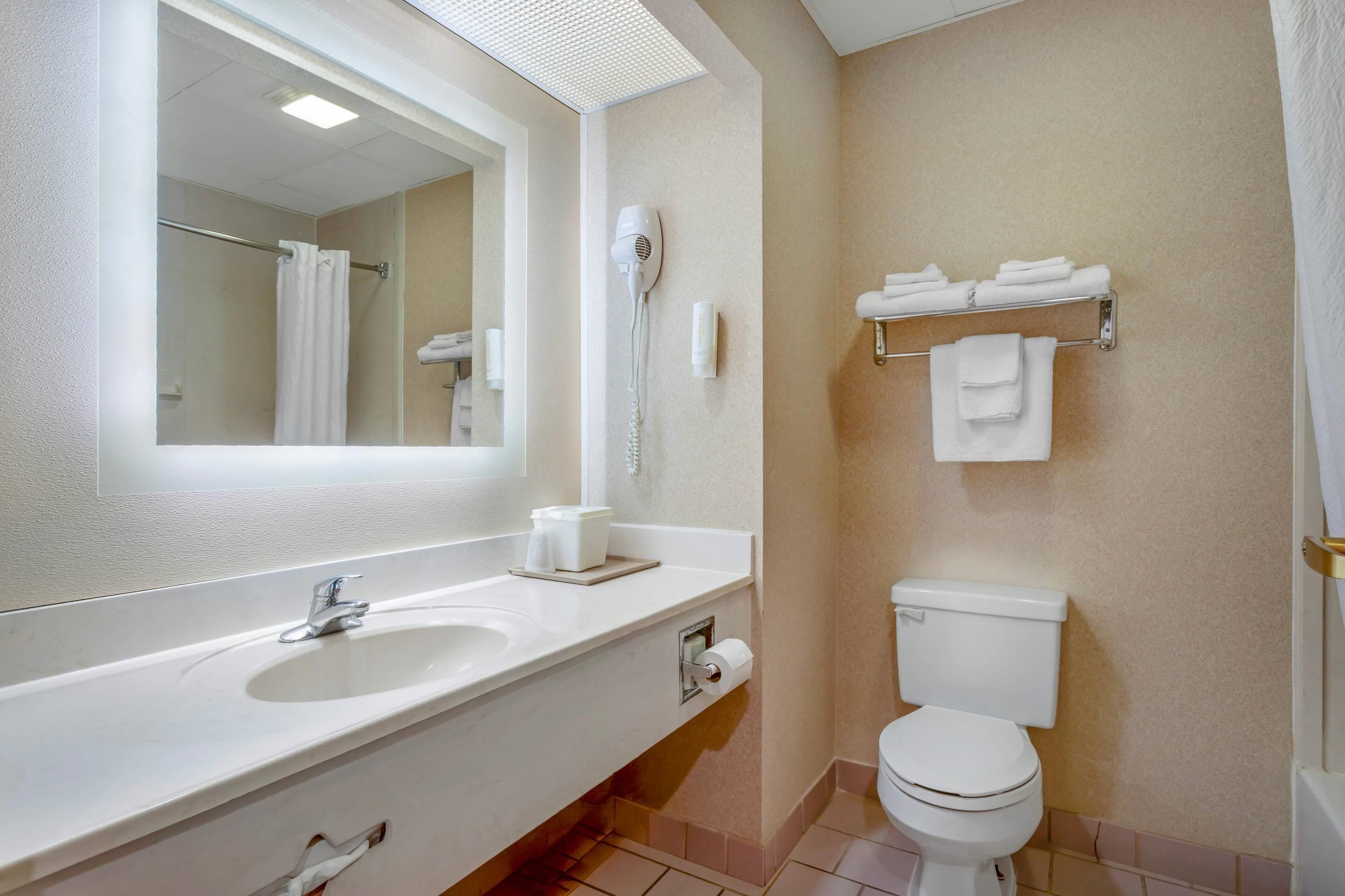 A bathroom with a white sink, a mirror, a hairdryer, a toilet, and a towel rack.