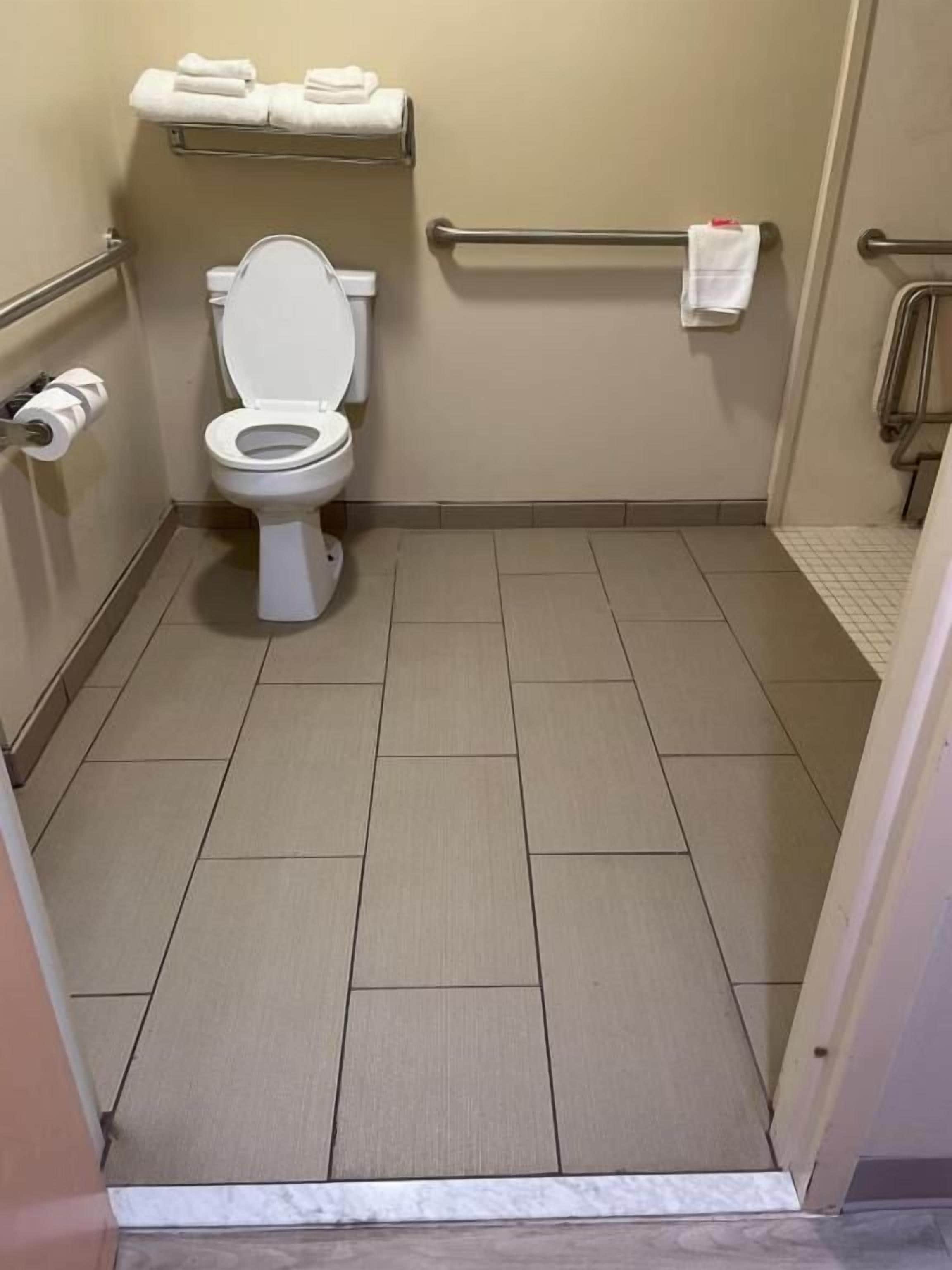 room, 1 king bed, accessible, non smoking | bathroom | free toiletries, hair dryer, towels, soap