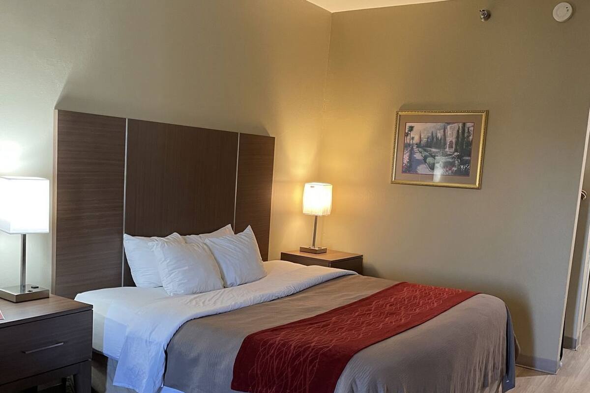 A hotel room with a bed, bedside tables, a lamp, a picture on the wall, and a door.