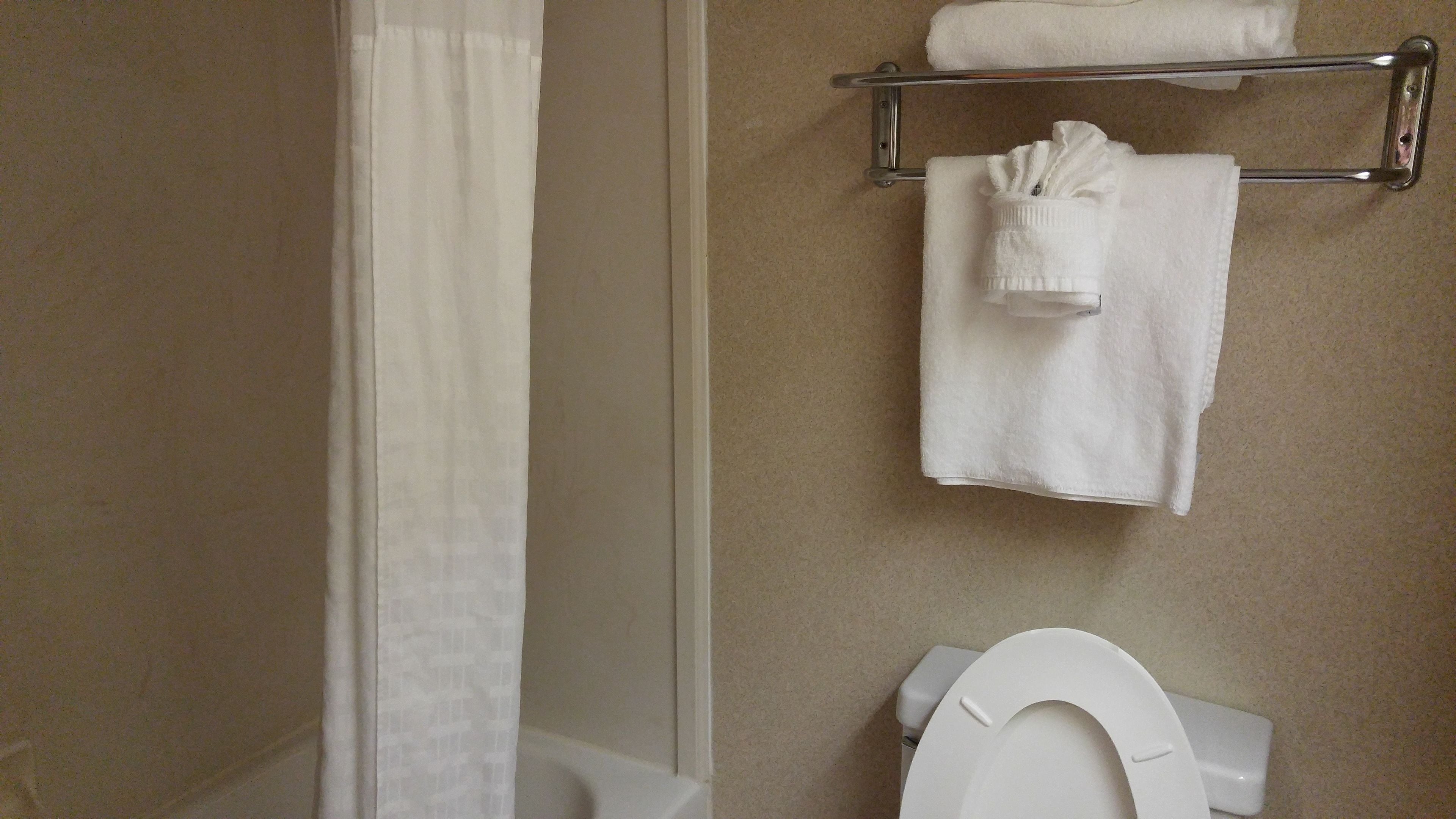 Un baño con inodoro, perchero con toallas dobladas y cortina de ducha.
