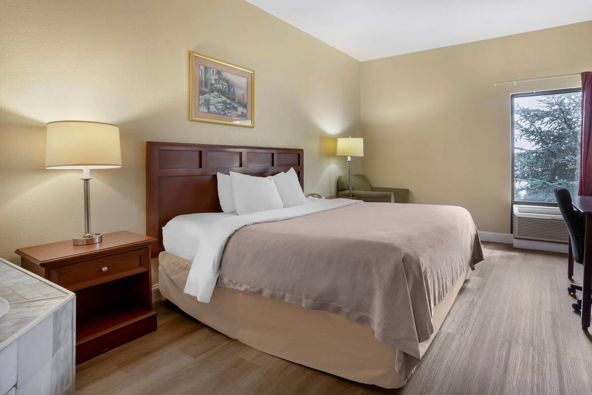 Standard Room, 1 King Bed, Non Smoking | Desk, laptop workspace, soundproofing, iron/ironing board