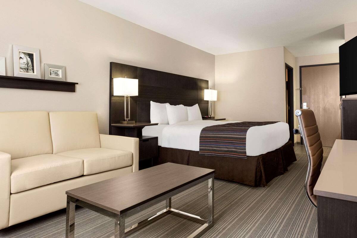 A hotel room with a bed, a sofa, a desk, a chair, and a nightstand with lamps.